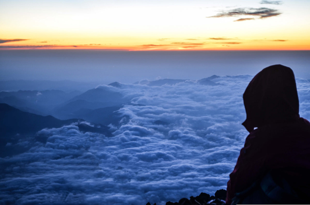 Zeig, wer du bist –